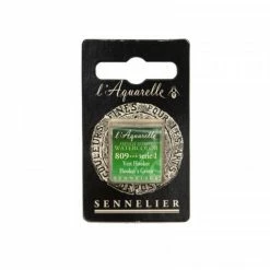 Aquarelle Extra-Fine 1/2 Godet Vert Hooker Sennelier