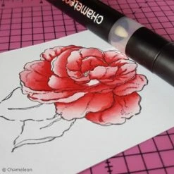 Coffret Marqueurs Chameleon - Warm Tones - 5 Feutres -creavea shop coffret marqueurs chameleon warm tones 5 feutres p 4