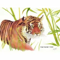 Coffret Marqueurs Graph'it Brush & Extra Fine - Essential - 36 Pcs -creavea shop coffret marqueurs graphit brush and extra fine essential 36 pcs p 6