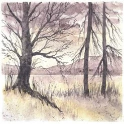 Derwent Coffret Nomade D'aquarelle Graphitint - Couleurs Graphites - 12 Demi-godets -creavea shop coffret nomade daquarelle graphitint couleurs graphites 12 demi godets p 5