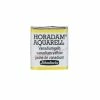 Schmincke Horadam Aquarell Couleurs Aquarelle Extra-fine Pour Artiste Jaune De Vanadium 14207 -creavea shop horadam aquarell couleurs aquarelle extra fine pour artiste jaune de vanadium 14207 p