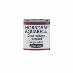Schmincke Horadam Aquarell Couleurs Aquarelle Extra-fine Pour Artiste Vert De Hooker 14521