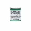 Schmincke Horadam Aquarell Couleurs Aquarelle Extra-fine Pour Artiste Vert Permanent Olive 14534
