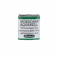 Schmincke Horadam Aquarell Couleurs Aquarelle Extra-fine Pour Artiste Vert Permanent Olive 14534