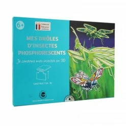 Ctop Kit Créatif - Insectes à Assembler - Construction 3D - A Partir De 6 Ans