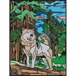 Le Loup - Crayons Inclus - 28 X 37 - à Colorier Colorvelvet