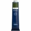 Lefranc Bourgeois Peinture à L'huile En Tube Terre Verte 150ml - Lefranc & Bourgeois -creavea shop peinture a lhuile en tube terre verte 150ml lefranc and bourgeois p