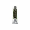 Peinture à L'huile Extra-fine En Tube Vert De Vessie 40ml - Rembrandt